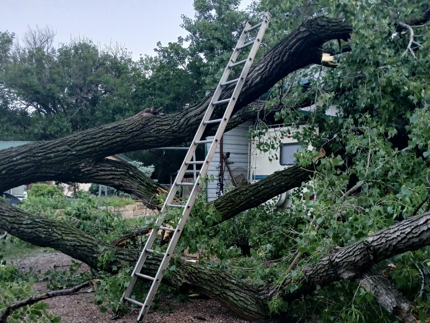 Evergy: Power mostly restored after storms bring 100-plus mph winds - Vimarsana News